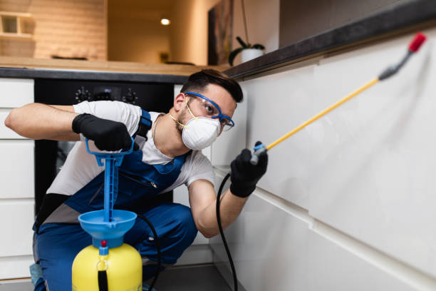 Trusted Luverne, MN Pest Control Experts