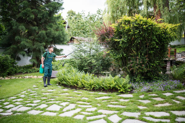 Best Best Pest Control Companies  in Luverne, MN