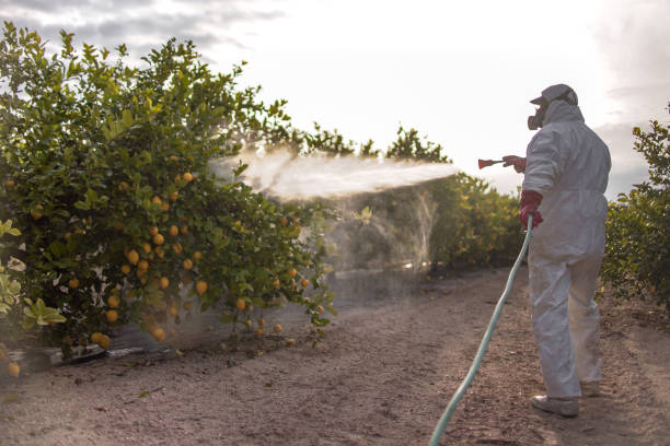 Best Commercial Pest Control Services  in Luverne, MN