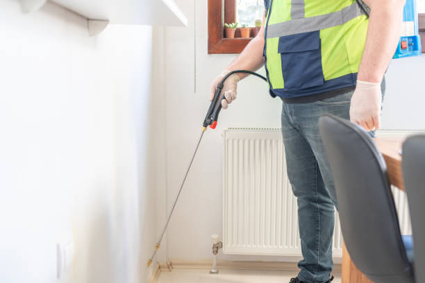 Best Ant Control Services  in Luverne, MN