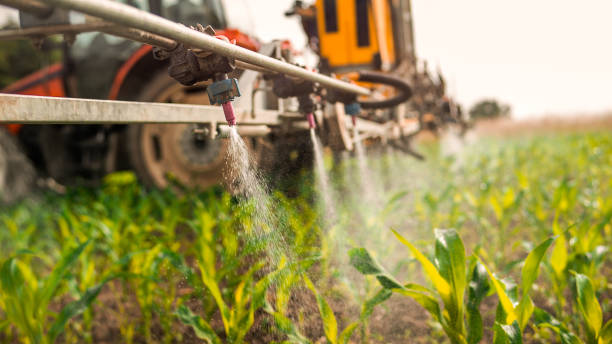 Best Pest Removal Services  in Luverne, MN